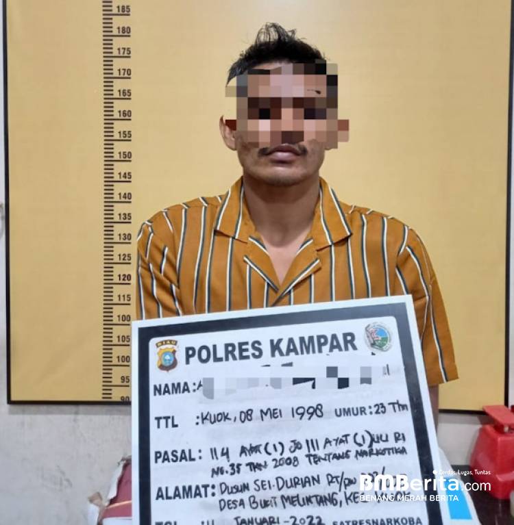 Resnarkoba Polres Kampar Tangkap Pelaku Pengedar Daun Ganja Kering di Desa Kuok