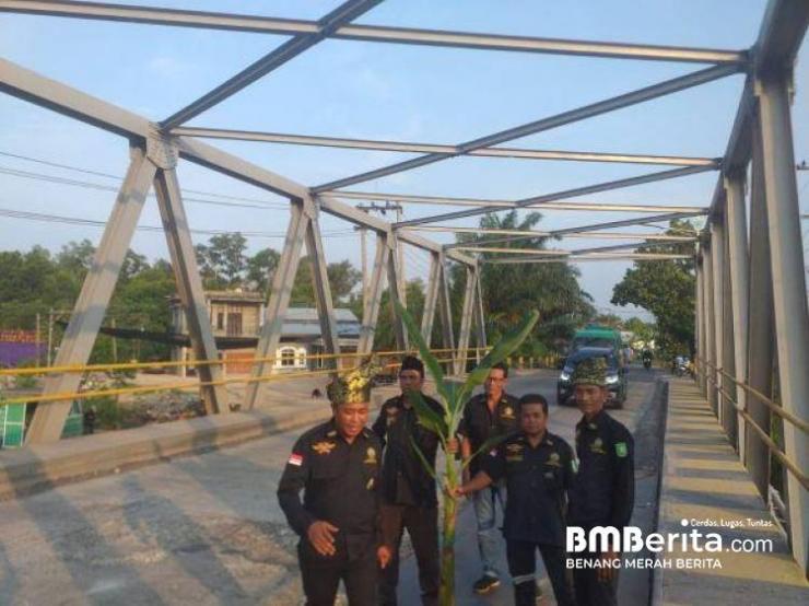 Kode Keras ke Pemko Dumai, LLMB Sungai Sembilan Tanam Pohon Pisang di Jembatan Berlubang, Datuk Amin: Jangan Tunggu Makan Korban 