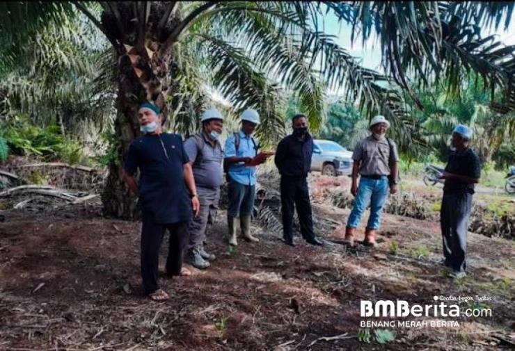 SK Bupati Bengkalis Tahun 2020 Tentang Pemilik Kebun Plasma Koperasi BBDM - PT SDA Sudah Sah Secara Hukum dan UU Perkoperasian