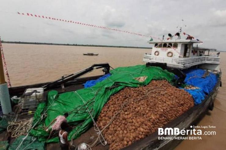 Negara Luar Batasi Import Kelapa dan Turunannya, ini Dampaknya Bagi Perusahaan di Inhil 