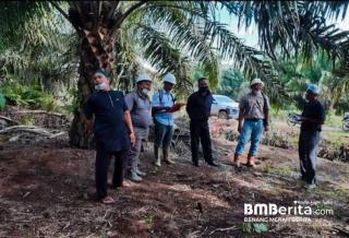 SK Bupati Bengkalis Tahun 2020 Tentang Pemilik Kebun Plasma Koperasi BBDM - PT SDA Sudah Sah Secara Hukum dan UU Perkoperasian
