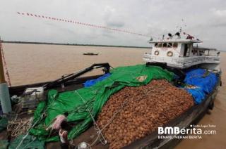 Negara Luar Batasi Import Kelapa dan Turunannya, ini Dampaknya Bagi Perusahaan di Inhil 