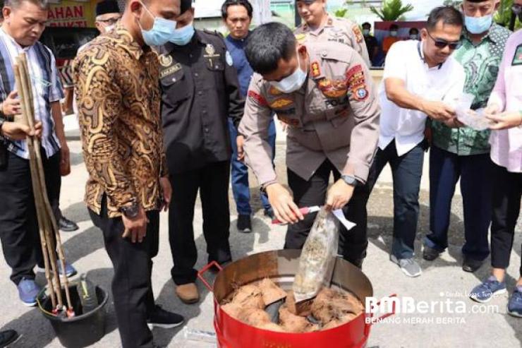 Satu Kilo Lebih Ganja Dimusnahkan Polres Inhil 