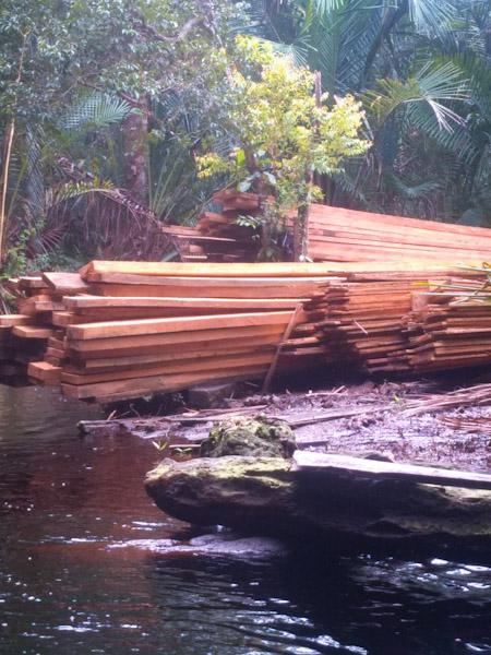 HR Oknum Polairud Terduga Illegal Logging di kabupaten meranti: ia dulu aku emang main kayu