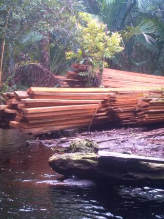 HR Oknum Polairud Terduga Illegal Logging di kabupaten meranti: ia dulu aku emang main kayu