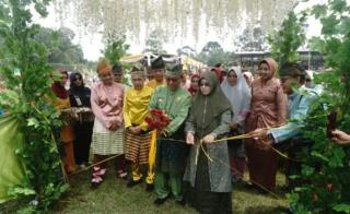 Bupati Inhil Lepas Pawai Ta
