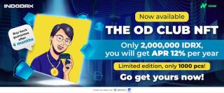 CEO INDODAX Luncurkan NFT, Bisa Dapat Bagi Hasil 12% Per Tahun