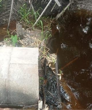 Pabrik kelapa sawit(PKS)LSP Libo jaya,diduga sengaja buang limbah cair ke sungai