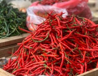 Harga Cabai di Pekanbaru Alami Kenaikan