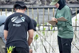 YKAN Bersama KPM Desa Teluk Pambang Terus Berupaya Selamatkan Hutan Mangrove Pulau Bengkalis Lewat Program MERA