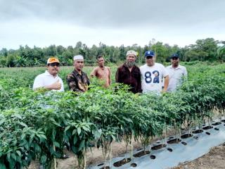 Haji Rafee Beri Bantuan Modal Usaha untuk Kelompok Tani Bina Anak Bangsa Sungai Selari