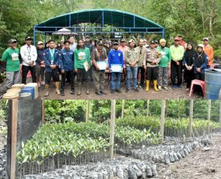 Kelompok Konservasi Mangrove Paghet Seghagah Kelapapati Tanam 1000 Bibit Mangrove, Camat Bengkalis Beri Apresiasi