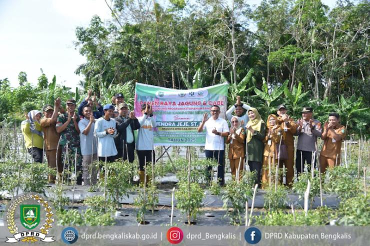 Anggota Komisi II Hadiri Panen Jagung dan Cabe di Pambang Baru