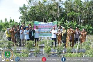 Anggota Komisi II Hadiri Panen Jagung dan Cabe di Pambang Baru