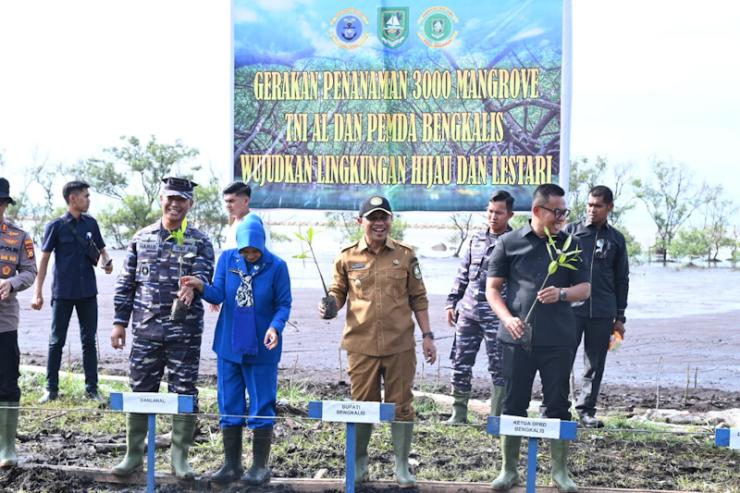 Dampingi Danlanal Dumai Menanam Mangrove, Wabup : Langkah Kongkret Menjaga Lingkungan