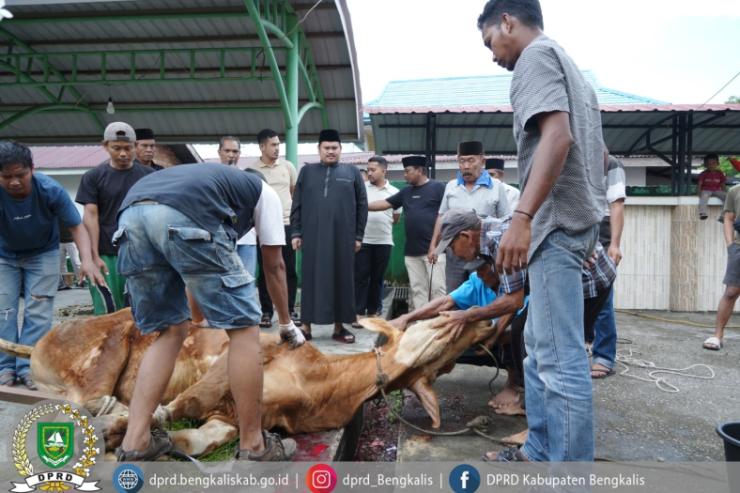 Masjid Al-Mubarak Sembelih 11 Hewan Kurban, Ketua DPRD Septian Nugraha Turut Berkurban dan Hadir Langsung di Lokasi