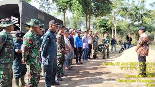Kades Air Hitam Didampingi Satgas PKH Tebas Pohon Sawit Dibawah Umur 5 Tahun Di Kawasan TNTN