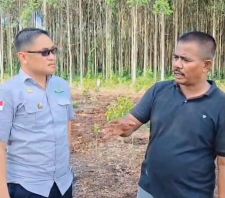 Agroforestry Penyelesaian Kerusakan Kawasan Hutan, Executive Director Poetra Nusantara Dukung P-IPMPL dan K-SBD