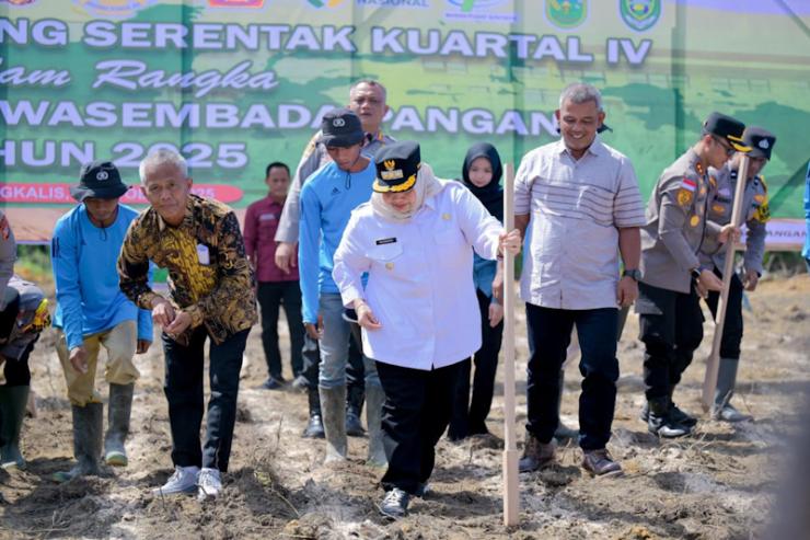 Dukung Swasembada Pangan 2025, Bupati Kasmarni Ikut Tanam Jagung Serentak Kuartal IV Bersama Gubernur Riau dan Kapolda Riau