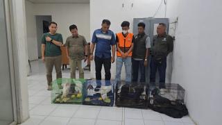 Balai Gakkum Kehutanan Wilayah Sumatra Mengamankan 7 Ekor Burung Yang Dilindungi di Kabupaten Deli Serdang