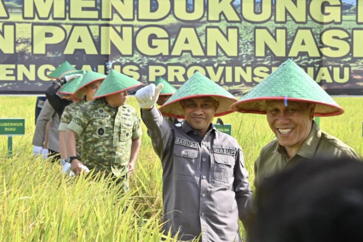 Hadiri Panen Raya TNI di Siak Kecil, Wabup Bagus Santoso Tegaskan Komitmen Bengkalis Dukung Ketahanan Pangan Nasional
