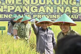 Hadiri Panen Raya TNI di Siak Kecil, Wabup Bagus Santoso Tegaskan Komitmen Bengkalis Dukung Ketahanan Pangan Nasional